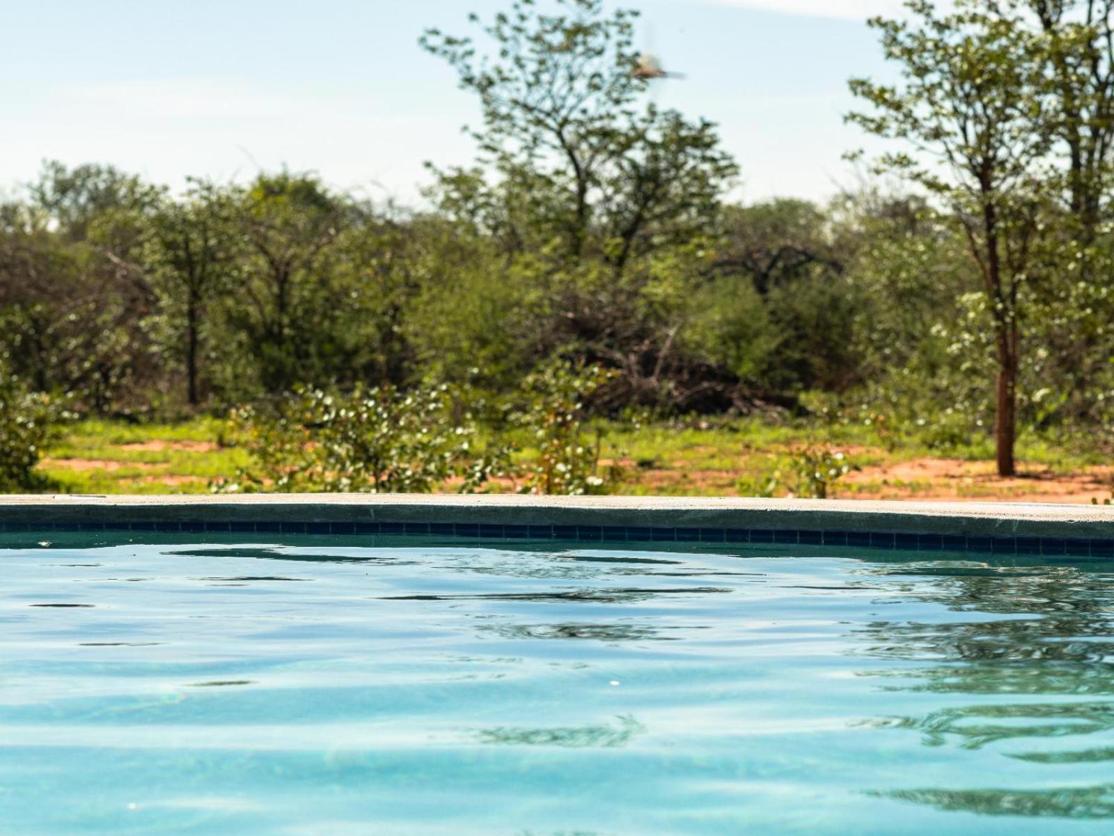 Kifaru Bush Camp Hotel Outjo Luaran gambar