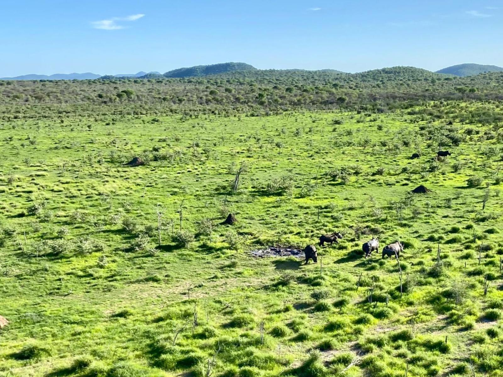 Kifaru Bush Camp Hotel Outjo Luaran gambar